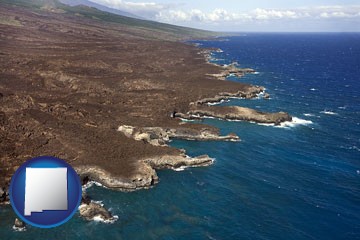 an aerial photograph of a Hawaiian shoreline - with New Mexico icon